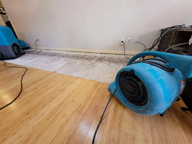 Professional Structural Drying technician working in Kinney, MN